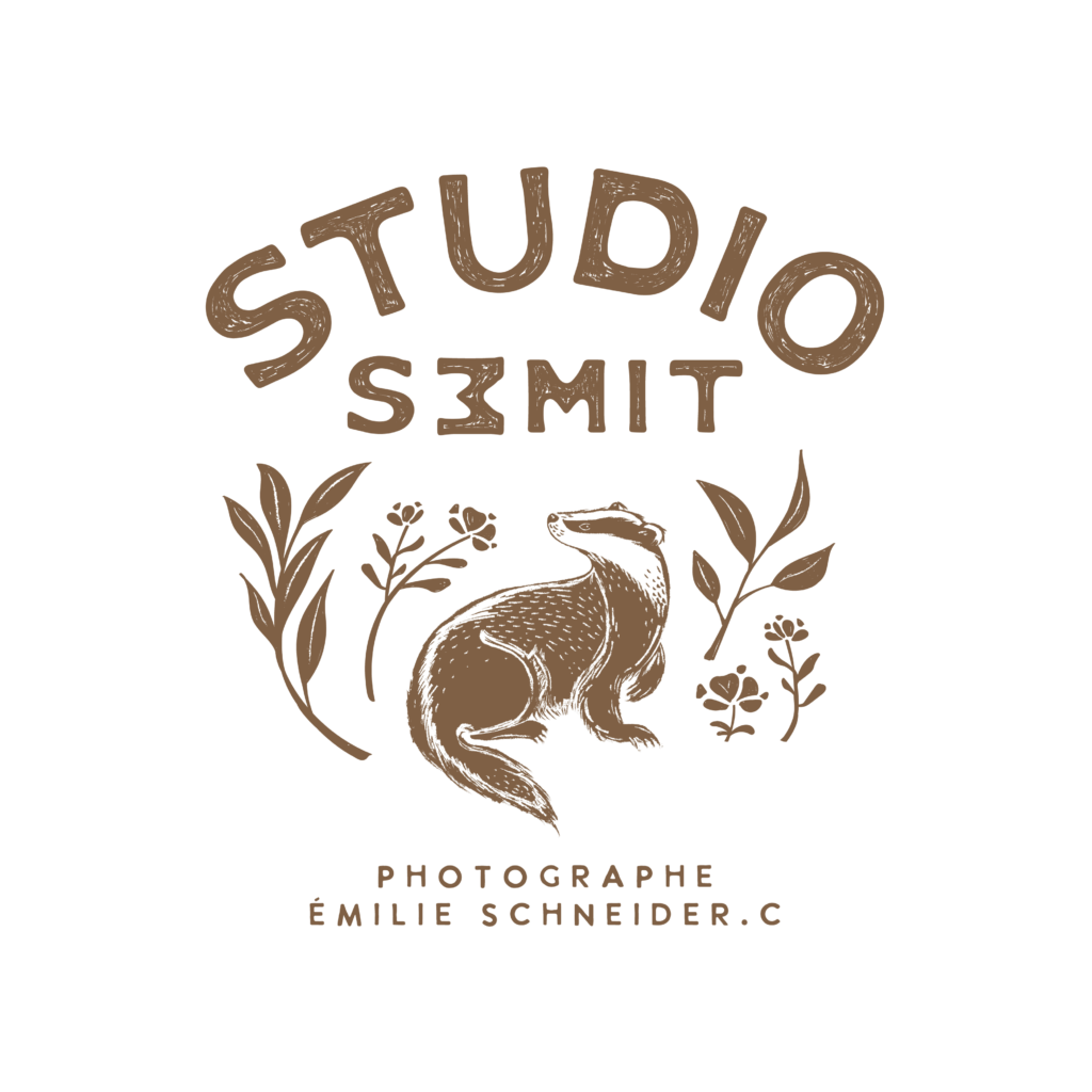 StudioSemit LogoPrincipal Marron