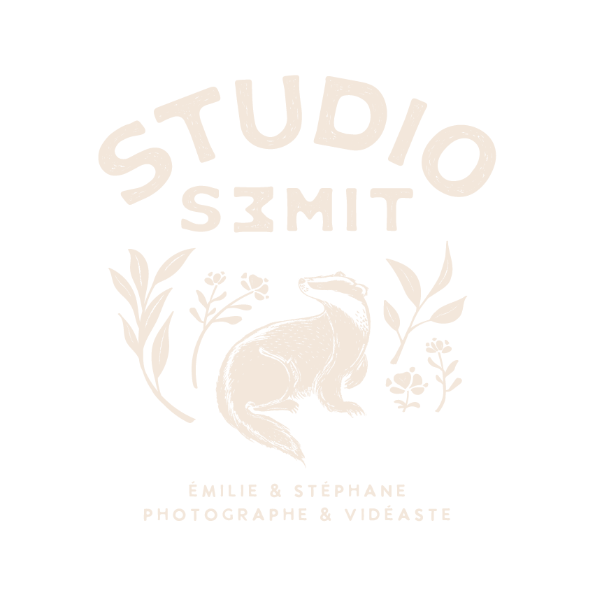 StudioSemit LogoPrincipal Beige